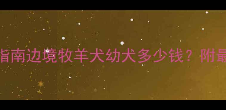 图片 成都边牧价格避坑指南边境牧羊犬幼犬多少钱？附最新行情+选购攻略1