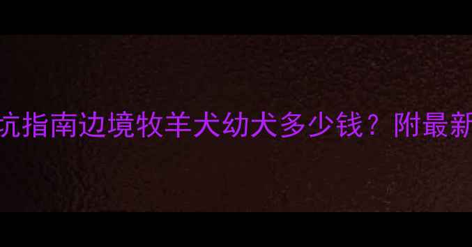 图片 成都边牧价格避坑指南边境牧羊犬幼犬多少钱？附最新行情+选购攻略2