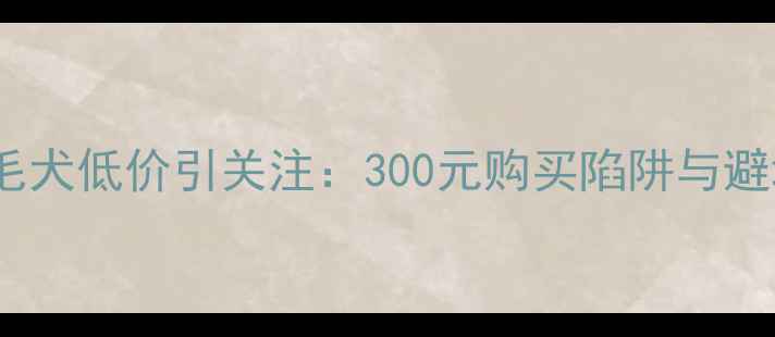 图片 成都金毛犬低价引关注：300元购买陷阱与避坑指南2