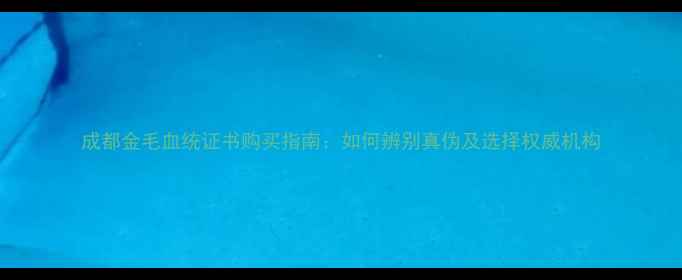 图片 成都金毛血统证书购买指南：如何辨别真伪及选择权威机构