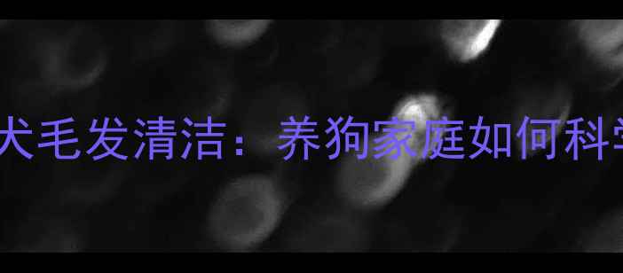 图片 戴森吸尘器VS宠物犬毛发清洁：养狗家庭如何科学选择清洁方案？2