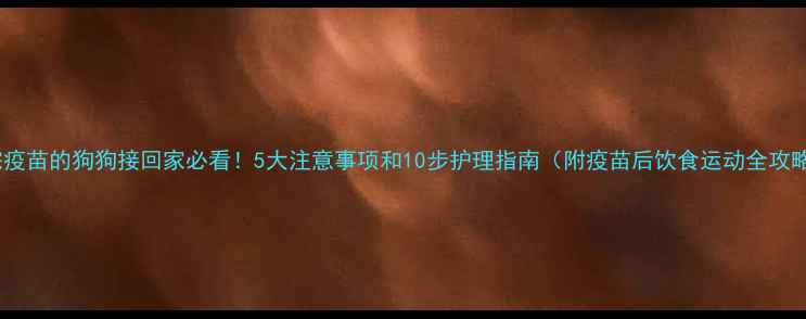 图片 打完疫苗的狗狗接回家必看！5大注意事项和10步护理指南（附疫苗后饮食运动全攻略）2