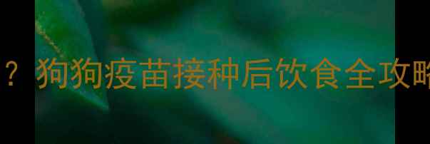 图片 打完疫苗能喝水吗？狗狗疫苗接种后饮食全攻略（附喂养指南）2