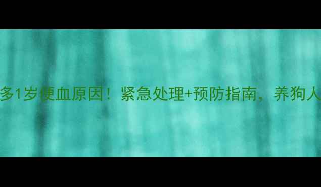 图片 拉布拉多1岁便血原因！紧急处理+预防指南，养狗人必看！