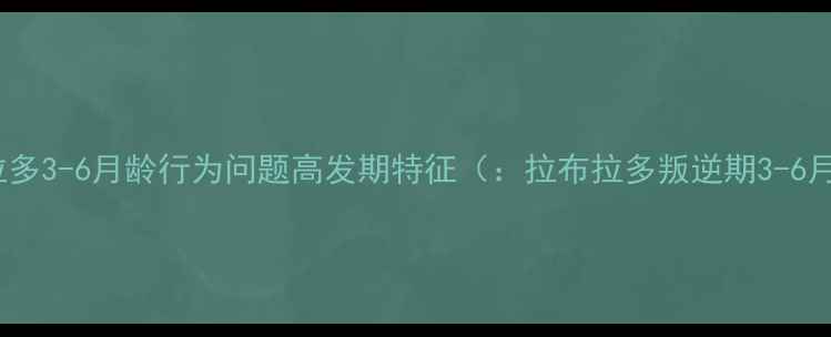 图片 拉布拉多3-6月龄行为问题高发期特征（：拉布拉多叛逆期3-6月龄）2