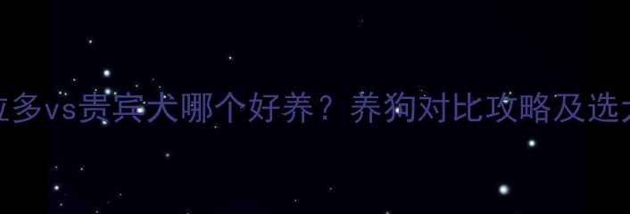 图片 拉布拉多vs贵宾犬哪个好养？养狗对比攻略及选犬指南