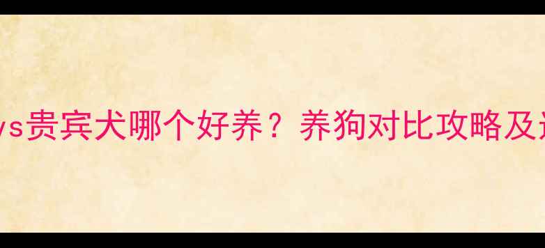 图片 拉布拉多vs贵宾犬哪个好养？养狗对比攻略及选犬指南2