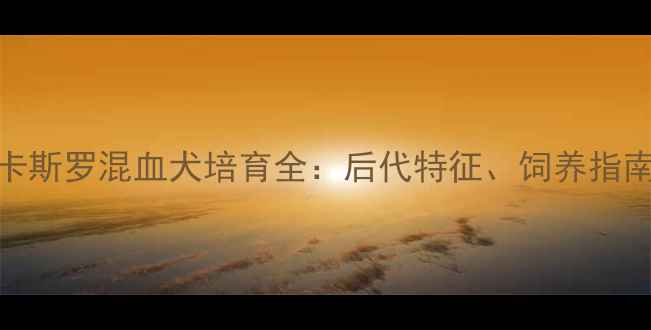 图片 拉布拉多×卡斯罗混血犬培育全：后代特征、饲养指南与注意事项