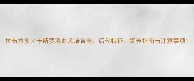 图片 拉布拉多×卡斯罗混血犬培育全：后代特征、饲养指南与注意事项1