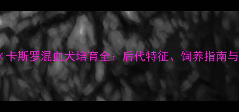 图片 拉布拉多×卡斯罗混血犬培育全：后代特征、饲养指南与注意事项2