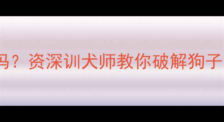 图片 拉布拉多会流口水吗？资深训犬师教你破解狗子吐舌头的10个真相1