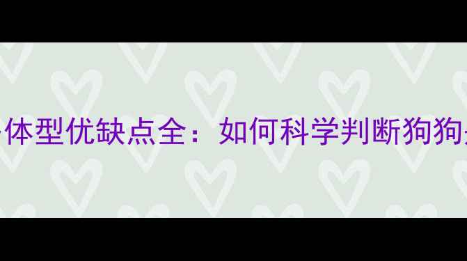 图片 拉布拉多体型优缺点全：如何科学判断狗狗是否健康