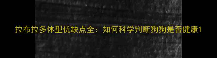 图片 拉布拉多体型优缺点全：如何科学判断狗狗是否健康1