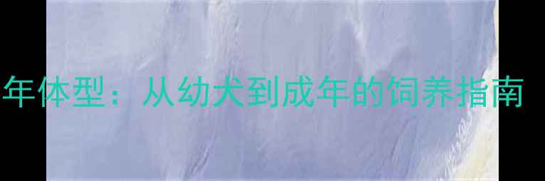 图片 拉布拉多公犬成年体型：从幼犬到成年的饲养指南（附对比数据）1