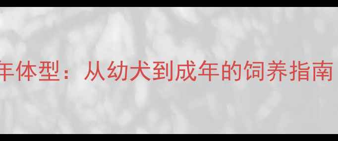 图片 拉布拉多公犬成年体型：从幼犬到成年的饲养指南（附对比数据）2