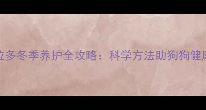 图片 拉布拉多冬季养护全攻略：科学方法助狗狗健康过冬