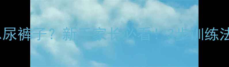 图片 拉布拉多出门总尿裤子？新手家长必看！3步训练法+5大护理技巧2