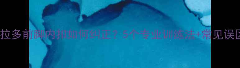 图片 拉布拉多前脚内扣如何纠正？5个专业训练法+常见误区全2