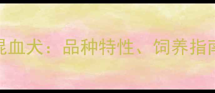 图片 拉布拉多博美混血犬：品种特性、饲养指南与遗传健康全