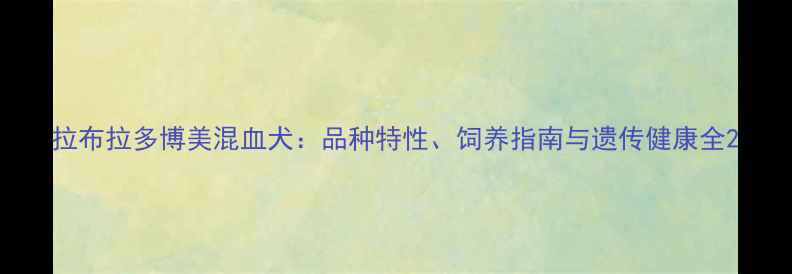 图片 拉布拉多博美混血犬：品种特性、饲养指南与遗传健康全2