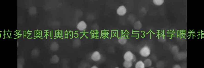 图片 拉布拉多吃奥利奥的5大健康风险与3个科学喂养指南1