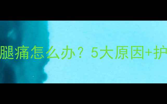 图片 拉布拉多后腿痛怎么办？5大原因+护理指南全🐾