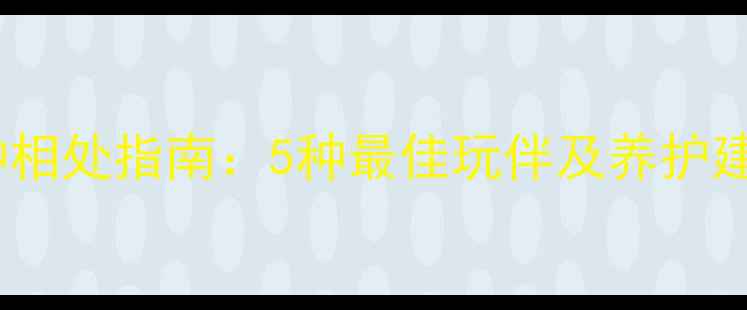 图片 拉布拉多和其他犬种相处指南：5种最佳玩伴及养护建议（附训练技巧）1