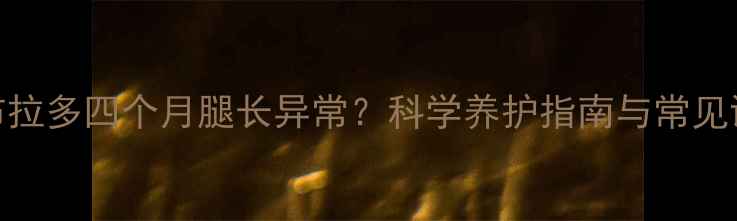 图片 拉布拉多四个月腿长异常？科学养护指南与常见误区