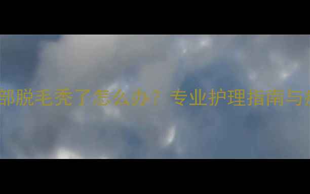 图片 拉布拉多头部脱毛秃了怎么办？专业护理指南与疾病预防全1