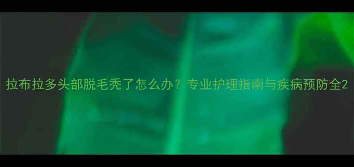 图片 拉布拉多头部脱毛秃了怎么办？专业护理指南与疾病预防全2