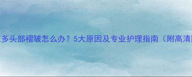 图片 拉布拉多头部褶皱怎么办？5大原因及专业护理指南（附高清图解）
