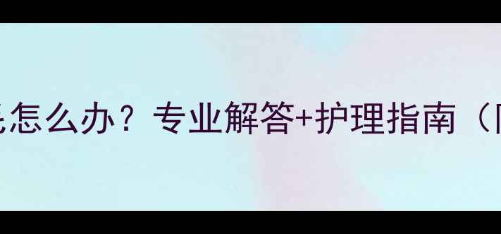 图片 拉布拉多奶头突出毛怎么办？专业解答+护理指南（附诊断与治疗方案）
