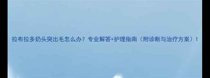 图片 拉布拉多奶头突出毛怎么办？专业解答+护理指南（附诊断与治疗方案）1