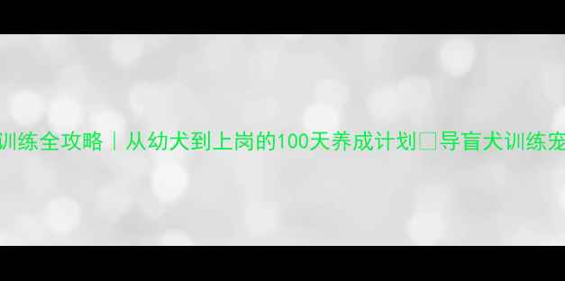 图片 拉布拉多导盲犬训练全攻略｜从幼犬到上岗的100天养成计划🐾导盲犬训练宠物科普拉布拉多