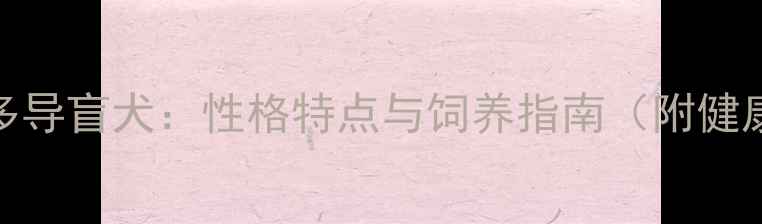 图片 拉布拉多导盲犬：性格特点与饲养指南（附健康知识）