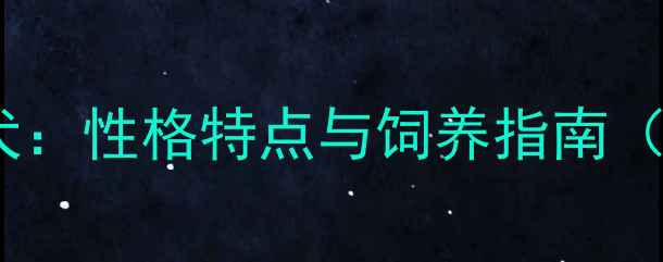 图片 拉布拉多导盲犬：性格特点与饲养指南（附健康知识）2