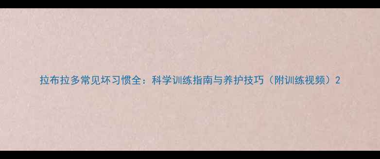 图片 拉布拉多常见坏习惯全：科学训练指南与养护技巧（附训练视频）2