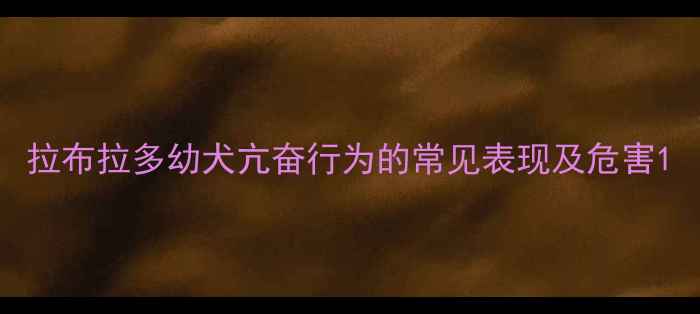 图片 拉布拉多幼犬亢奋行为的常见表现及危害1