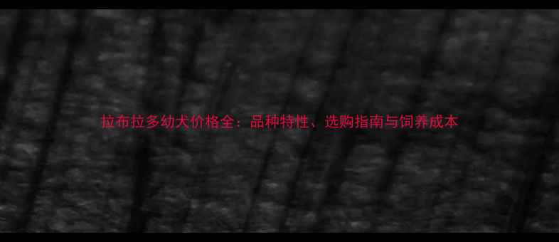 图片 拉布拉多幼犬价格全：品种特性、选购指南与饲养成本