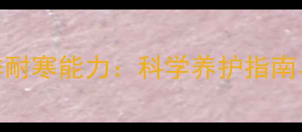 图片 拉布拉多幼犬冬季耐寒能力：科学养护指南与冻伤预防全攻略