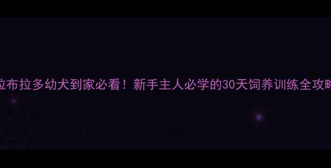图片 拉布拉多幼犬到家必看！新手主人必学的30天饲养训练全攻略