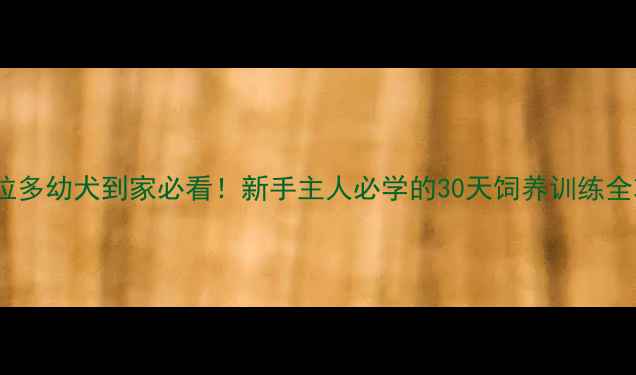 图片 拉布拉多幼犬到家必看！新手主人必学的30天饲养训练全攻略2