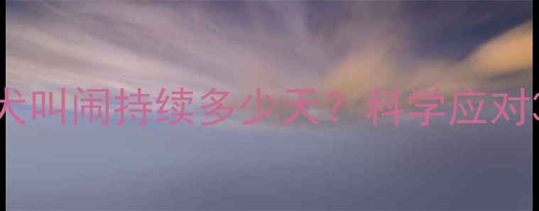 图片 拉布拉多幼犬叫闹持续多少天？科学应对3周断哭指南