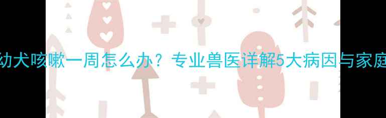 图片 拉布拉多幼犬咳嗽一周怎么办？专业兽医详解5大病因与家庭护理指南
