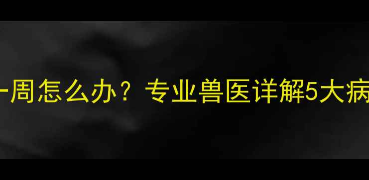 图片 拉布拉多幼犬咳嗽一周怎么办？专业兽医详解5大病因与家庭护理指南1