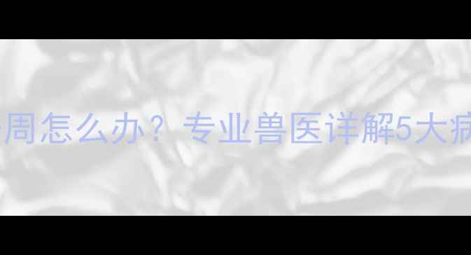 图片 拉布拉多幼犬咳嗽一周怎么办？专业兽医详解5大病因与家庭护理指南2
