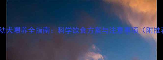 图片 拉布拉多幼犬喂养全指南：科学饮食方案与注意事项（附推荐食谱）1