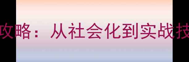 图片 拉布拉多幼犬寻回训练全攻略：从社会化到实战技巧，快速培养优秀寻回犬