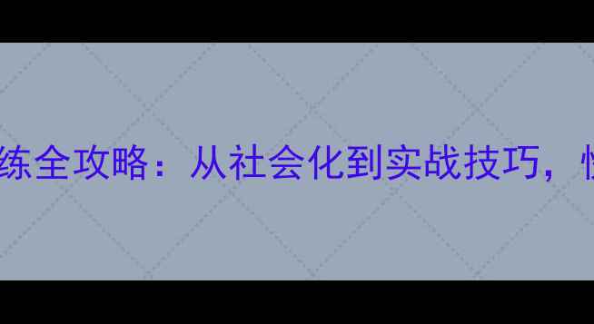 图片 拉布拉多幼犬寻回训练全攻略：从社会化到实战技巧，快速培养优秀寻回犬2