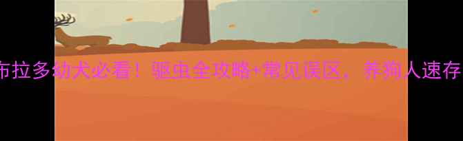 图片 拉布拉多幼犬必看！驱虫全攻略+常见误区，养狗人速存！1